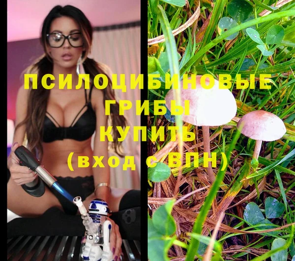 ECSTASY Аркадак